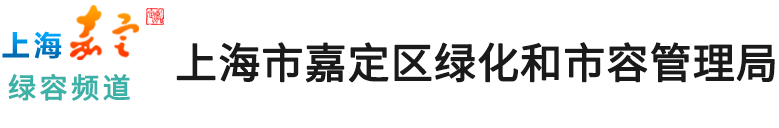 嘉定